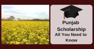 Pre Matric Scholarship: SC Scholarships in Punjab 2023, Apply Online